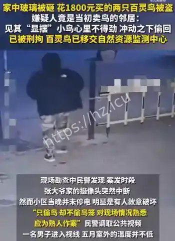 男子卖百灵鸟